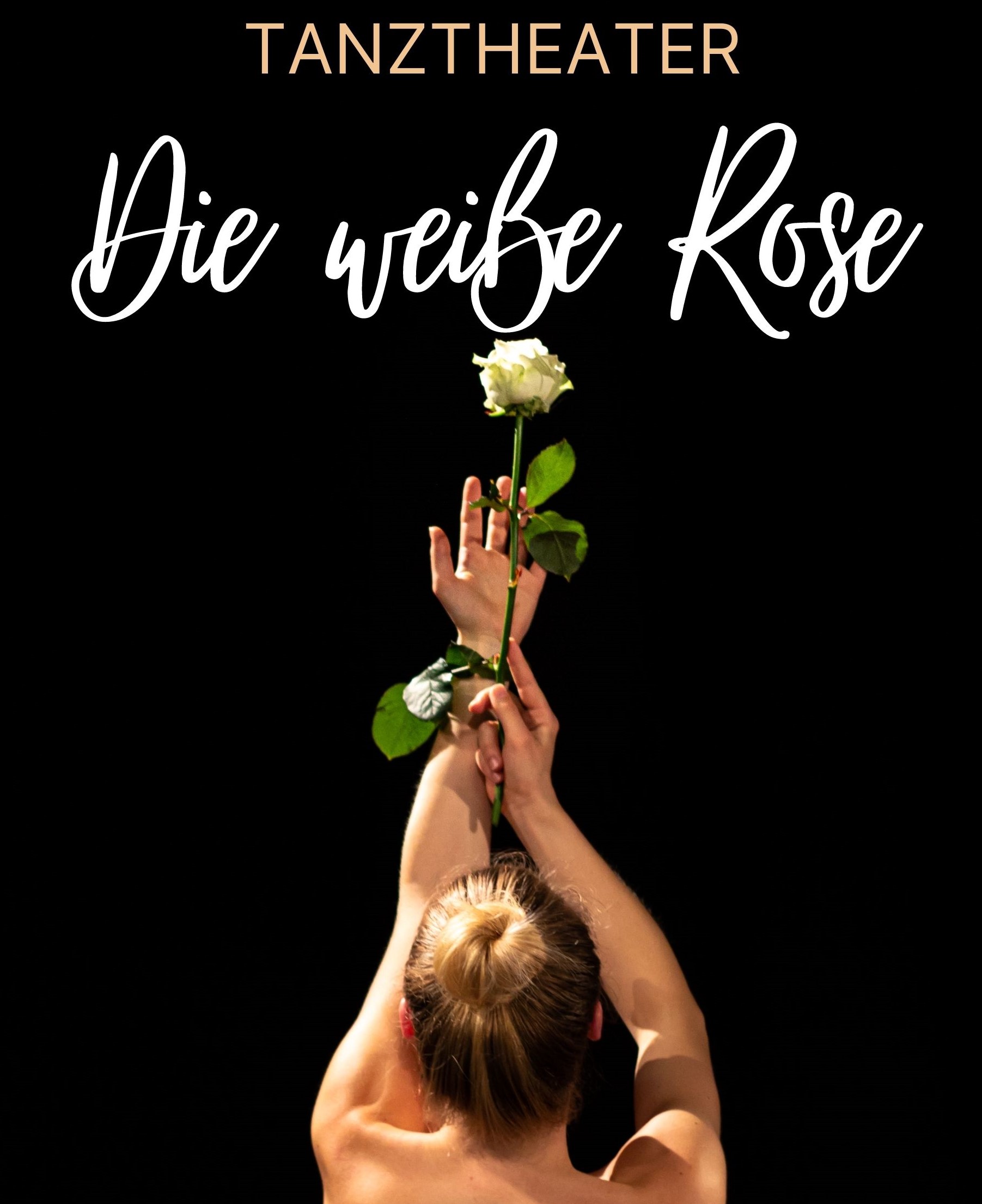 Schrift: Tanztheater Die Weiße Rose; Tanzende Frau mit weißer Rose